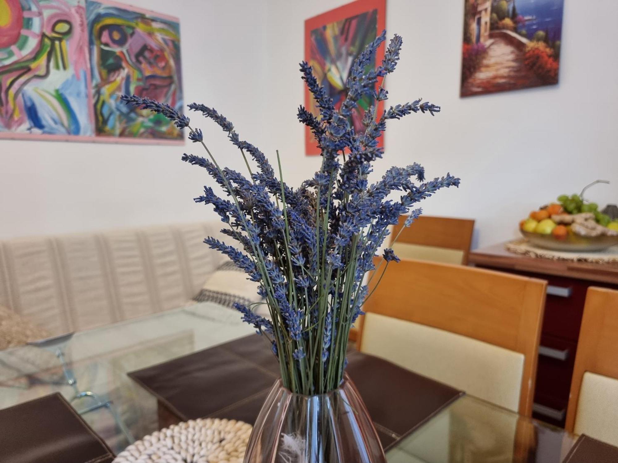 ***Apartment Magic &Summervibes*** Rijeka Extérieur photo